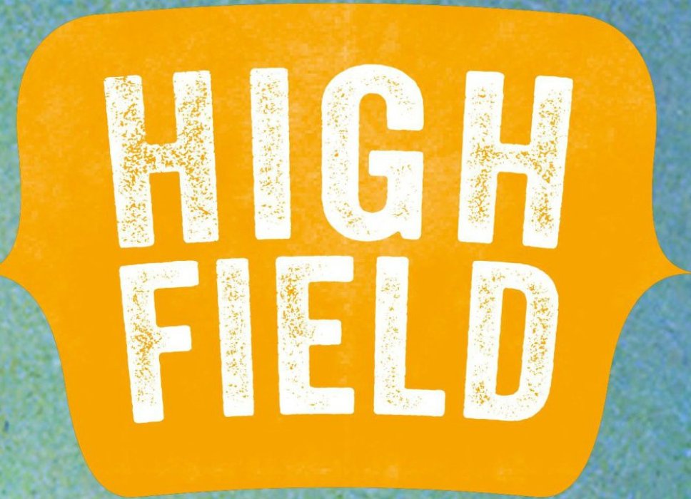 Highfield Festival - Finale Bandwelle