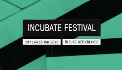Incubate Festival