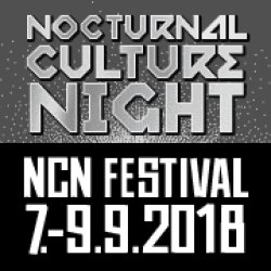 Nocturnal Culture Night 2013